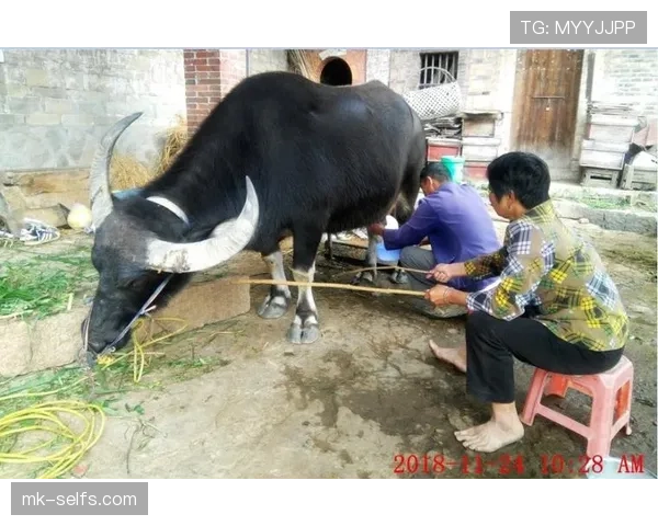 扬尼斯摆地摊卖菜那画面我真想看,好奇他一手端盘到底啥样! 扬尼斯摆地摊卖菜那画面我真想看,好奇他一手端盘到底啥样!